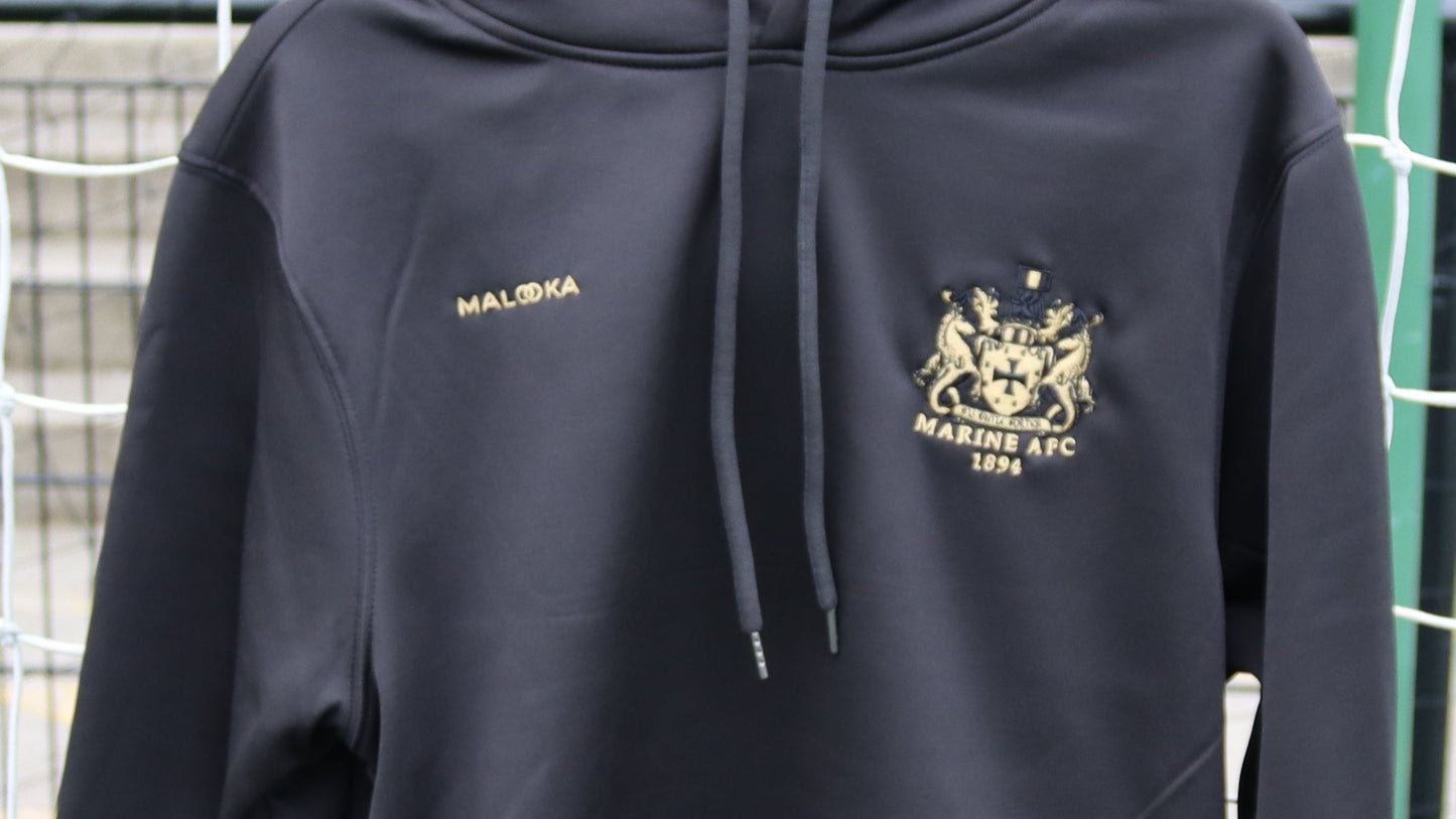 Adult Hoodie 2025/26 - Black & Gold