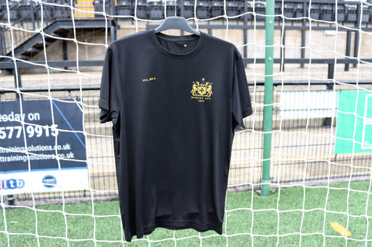 Adult Tech T-Shirt 2025/26 - Black & Gold